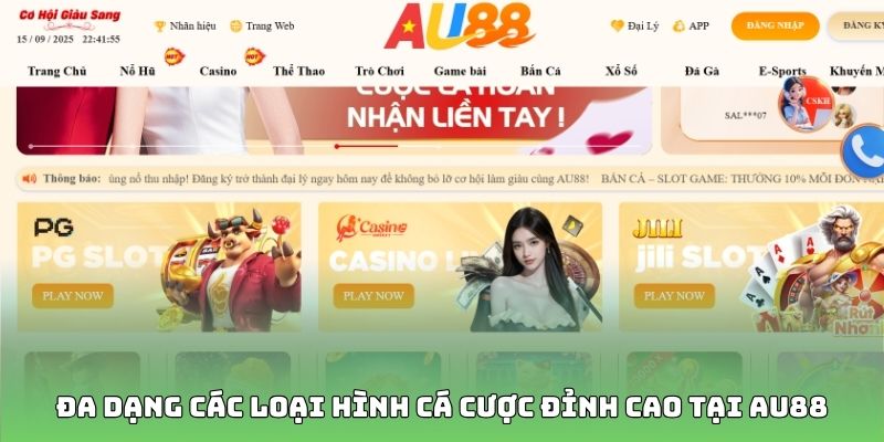 Đa dạng các loại hình cá cược đỉnh cao tại AU88