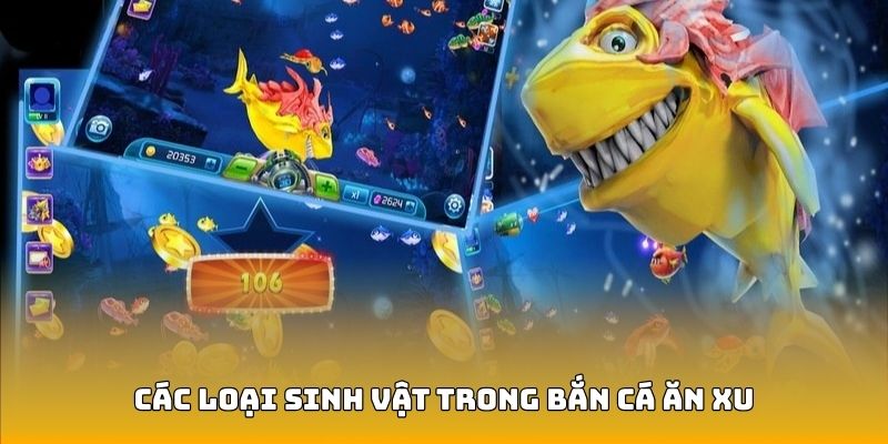 Phân cấp các loại sinh vật