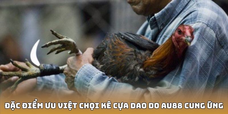 Đặc điểm ưu việt đối với thể loại chọi kê cựa dao do AU88 cung ứng