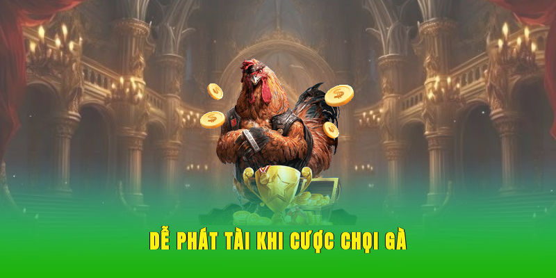 Dễ phát tài khi cược chọi gà