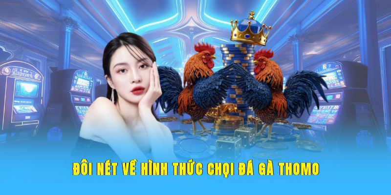 Đôi nét về hình thức chọi đá gà Thomo