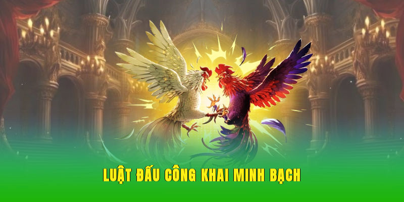 Luật đấu công khai minh bạch
