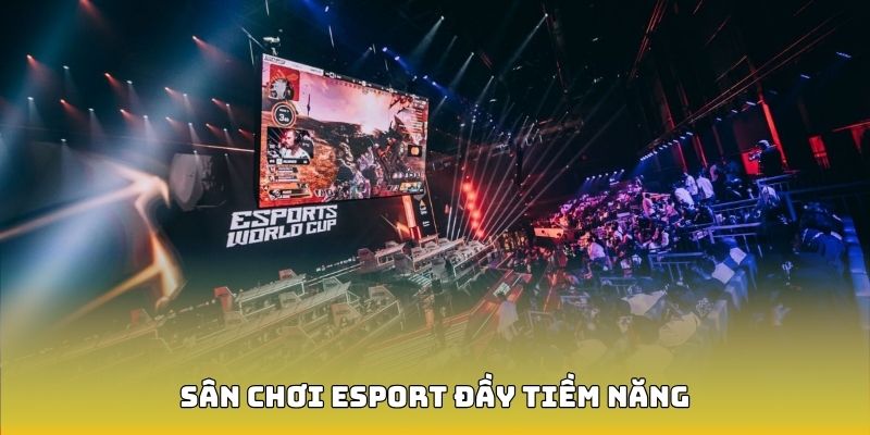 Top các siêu phẩm sport nổi bật