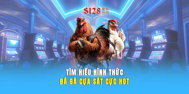 Tìm hiểu hình thức đá gà cựa sắt cực hot