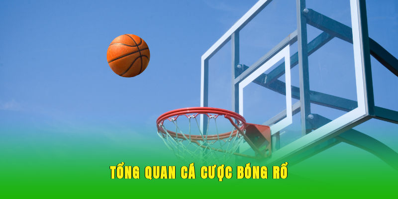 Tổng quan cá cược bóng rổ